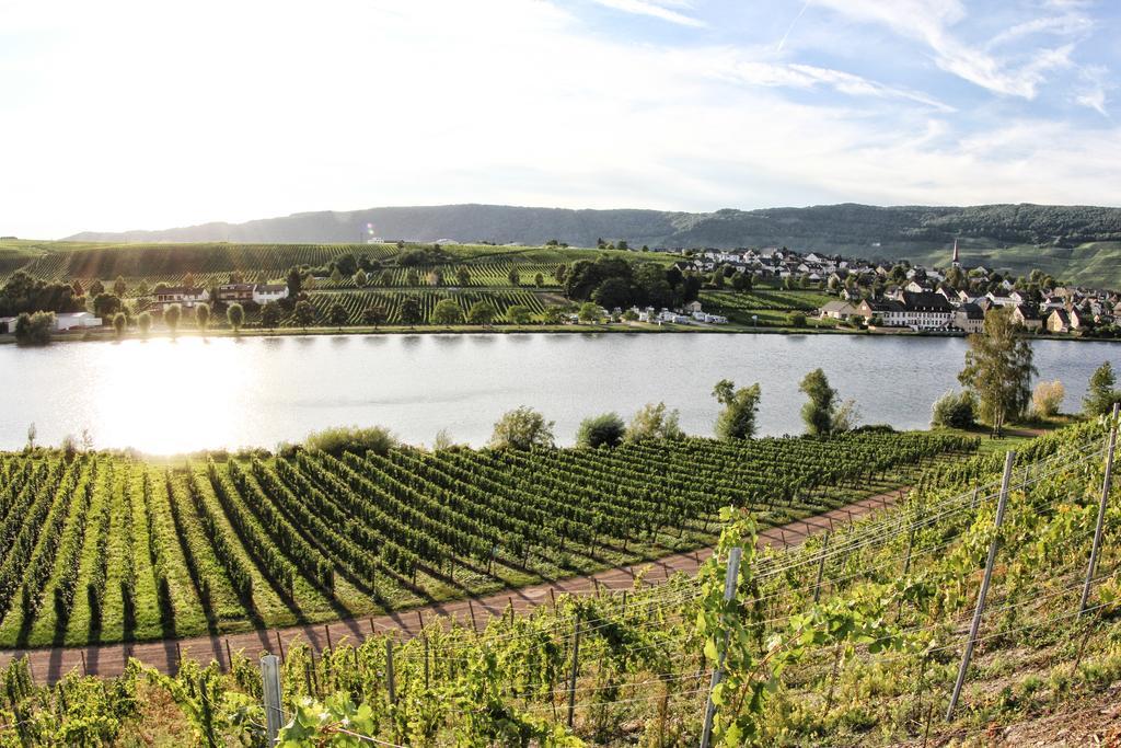 Hotel- Weingut- Moselloreley Piesport Exterior foto